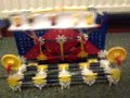 knex miami 2