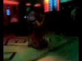 http://genclikburda.expressforum.org/erotik sexs sexsy ankara pavyon geceleri garip sesler müzikler xxx Zoraki Koca Burak Özçivit Özlem Yılmaz Yalancı yarim barış akarsu  burak özçivit zoraki koca zoraki koca ses müzik dans özlem yılmaz Burak özçivit yalancı yarim kavak yelleri Cüneyt tek gitar guitar koca kafalar kurtlar vadisi abdullah öcalan