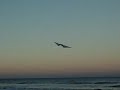 Sea Devil low wind Sea Devil low wind