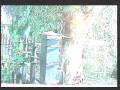 videos de 6agp