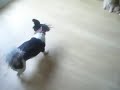 minnie ; )