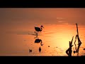 Belize - Especial Natureza - Monark Turismo - www.monark.tur.br