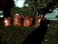 Bates Haunt - Halloween 2005\