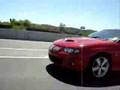 SVT Cobra Tribute
