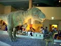 Dinasour Show Dinasour Show