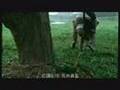 我要你幸福 - 盛噶仁波切