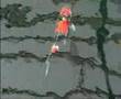beautiful koi moments / Momotaro