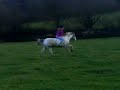 * Me & Prec gallopin/canter bareback *