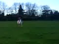 * Me & Prec gallopin/canter bareback *