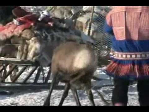 Image de prévisualisation YouTube