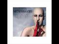 meshuggah combustion