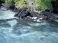TALAHAULOGO eau hiva mu'a ki te lagakali