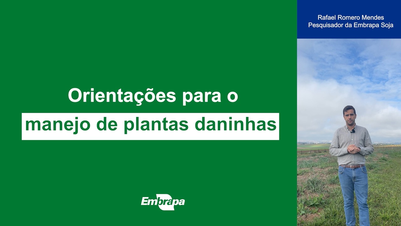 Orientações para o Manejo de Plantas Daninhas