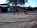 trompos de escuter