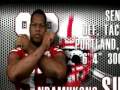 Ndamukong Suh: Highlights