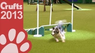 Agility - Championship Final - Crufts 2013