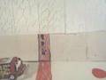 Bad Call