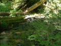 videos de SlideshowTadmor.wmv