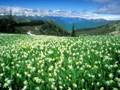 Moonbeam - Spring Story (Original Mix)