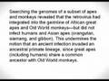 re refuting ERVs endogenous retroviruses