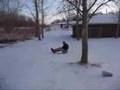 Rubbermaid Ice Sliding