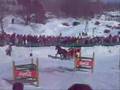 Derby d'attelage 2008.