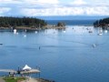 today outside my portch in nanaimo