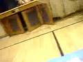 videos de Three Haka's!