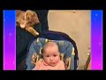 funny cats and dogs moment's compilation - I Like To Move It