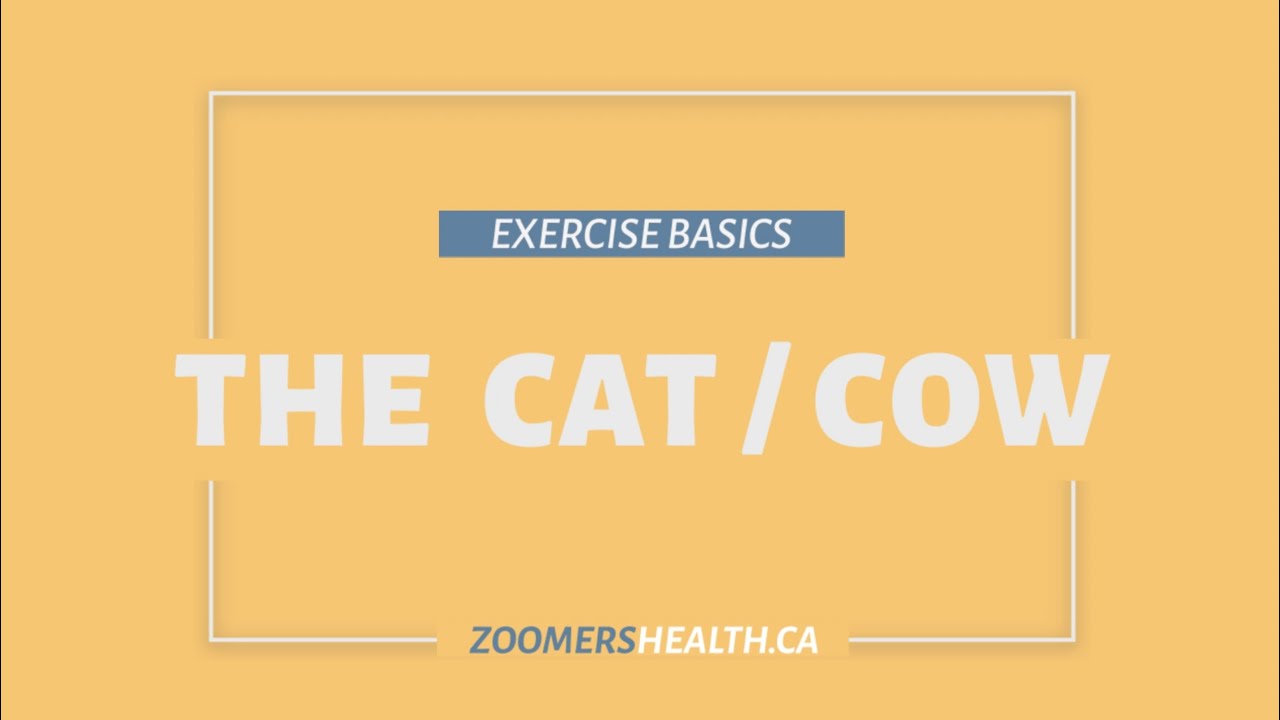 Finding the Best Massage Therapist in Halifax Zoomers Health