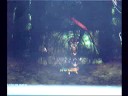 guild wars secret entrance to ???