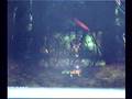 guild wars secret entrance to ???