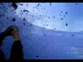 videos de napoli - samp tommy