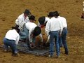 GRAPHIC -- Rodeo Steer