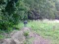 videos de ptit serie 2 boss