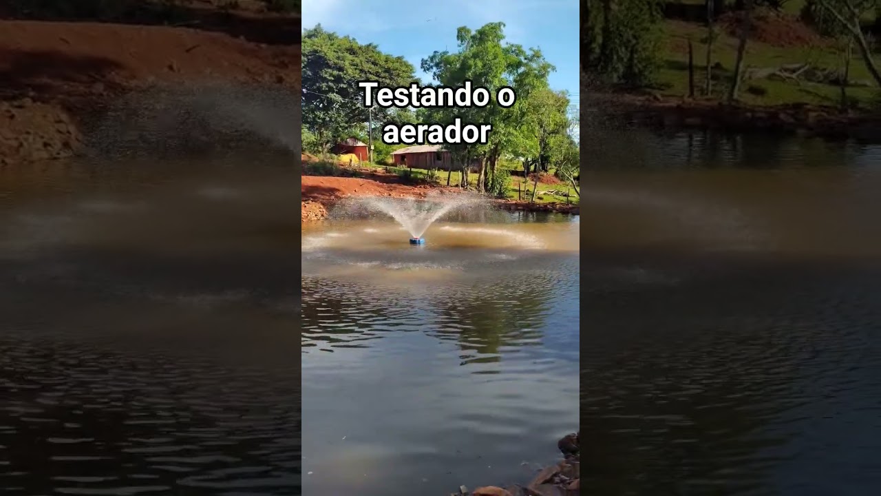 testando o aerador no tanque! #pesca #tanque #tilapia #sitio