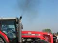 videos de massey ferguson 8280 in aratura
