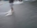 MOV00018.3GP MOV00018.3GP