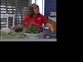 Meet an Idaho Florist