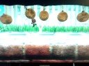 LittleBigPlanet Beta PS3vs360