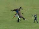 Horse vs. Jockey