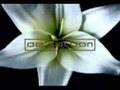 Abrazame - De Saloon
