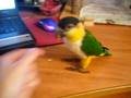 videos de Команда 