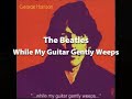 Beatles - While My Guitar Gently Weeps by TomiPaldanius