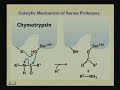 Lecture - 11 Enzyme Mechanisms II