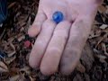 Metal Detecting MVLTS ( Short But Sweet) Metal Detecting MVLTS ( Short But Sweet)