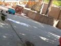 Morman Combat / Mating Dance