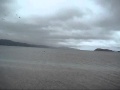 Killer Whales at Petone Beach, Wellington, New Zealand