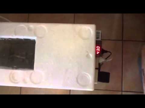 how to open quail eggs