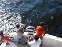 Fish Monger Bluefishing part 2